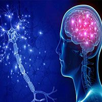 عصب شناسی بالینی