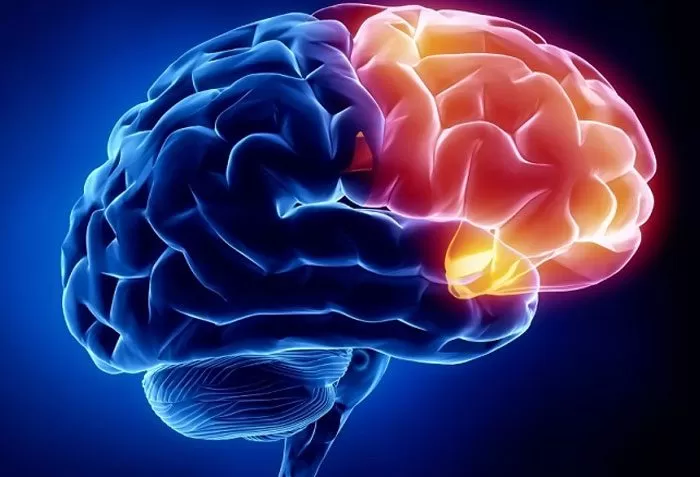 نورولوژی چیست؟